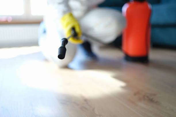 Best Dehumidification Services  in Taft, FL